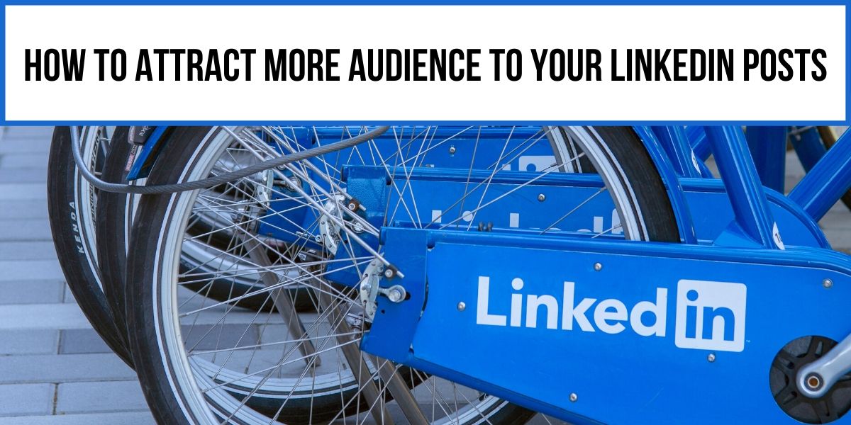 how-to-attract-audience-to-linkedin-posts